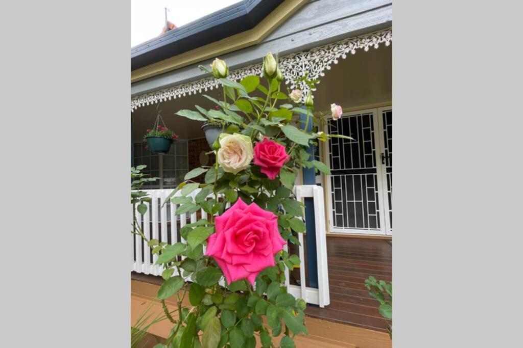 Mountain Living With Ocean Views Villa Mount Tamborine Exterior foto