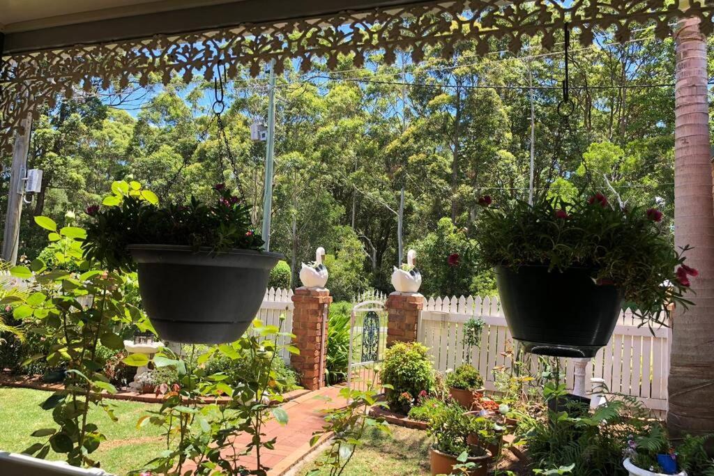 Mountain Living With Ocean Views Villa Mount Tamborine Exterior foto